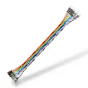 female.webp